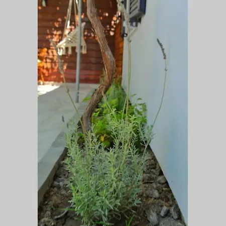 Onore Tatil Evi Lixouri