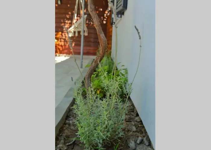 Onore Tatil Evi Lixouri